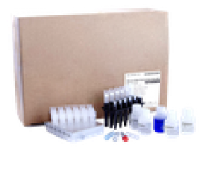 Реагенты для BioMagPure 12 Plus