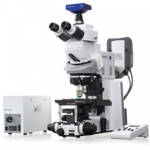 Axio Examiner 1